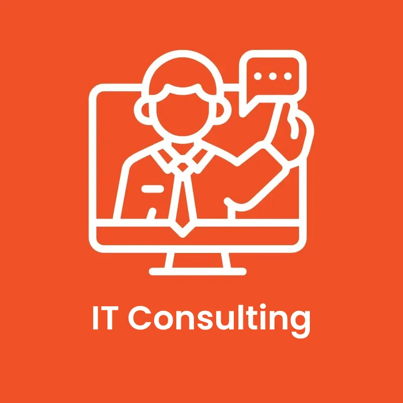 IT consulting