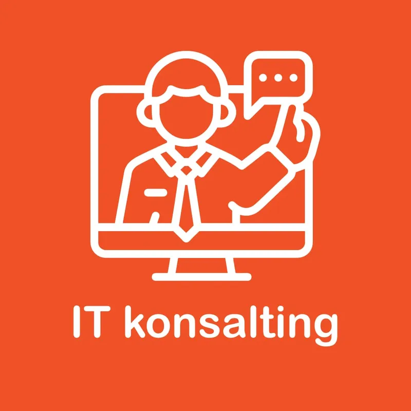 IT konsalting